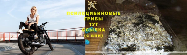 прущий лед Алексеевка