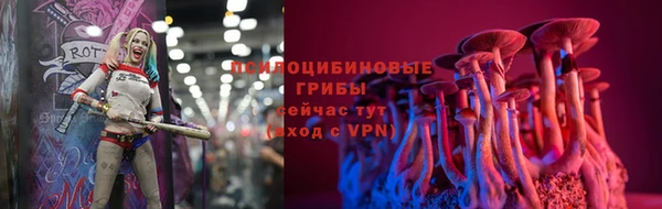 прущая мука Алзамай