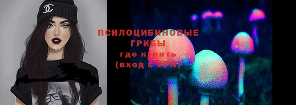 прущая мука Алзамай