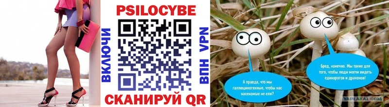 Псилоцибиновые грибы ЛСД  цены   Любань 